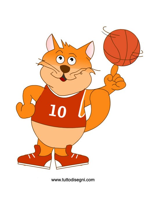 gatto-matto-basket