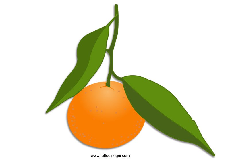 mandarino-frutto-invernale