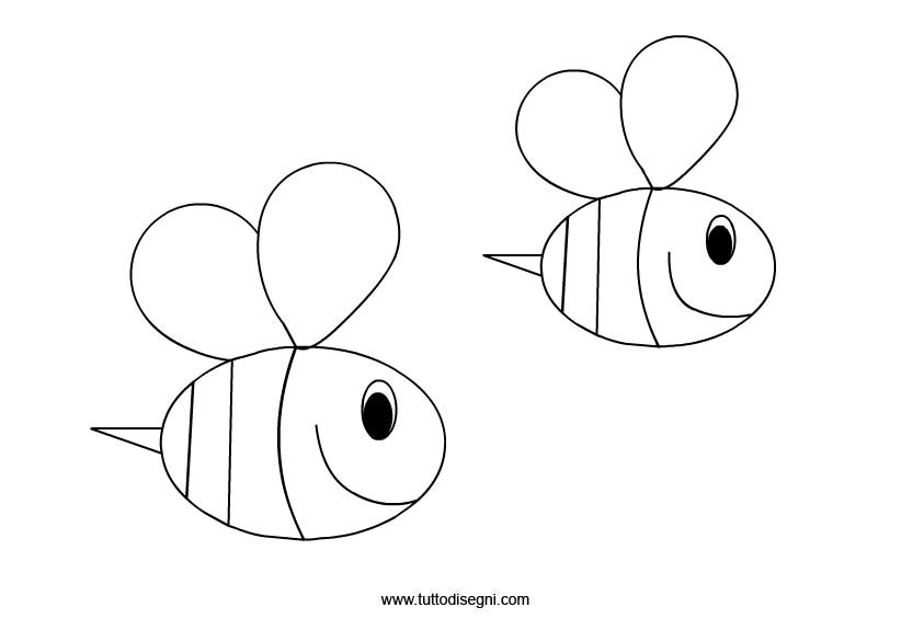 api-disegno