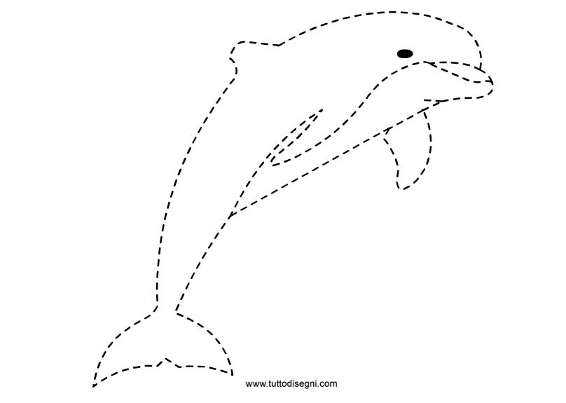 delfino-pregrafismo