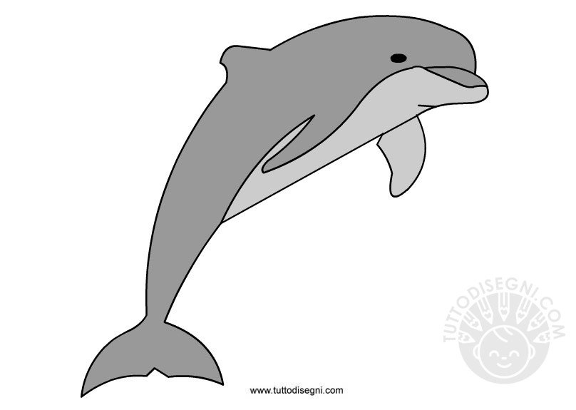 delfino-salto