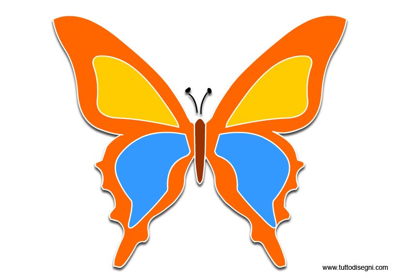 farfalle-colorate