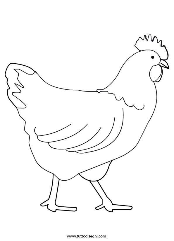 animali-fattoria-gallina