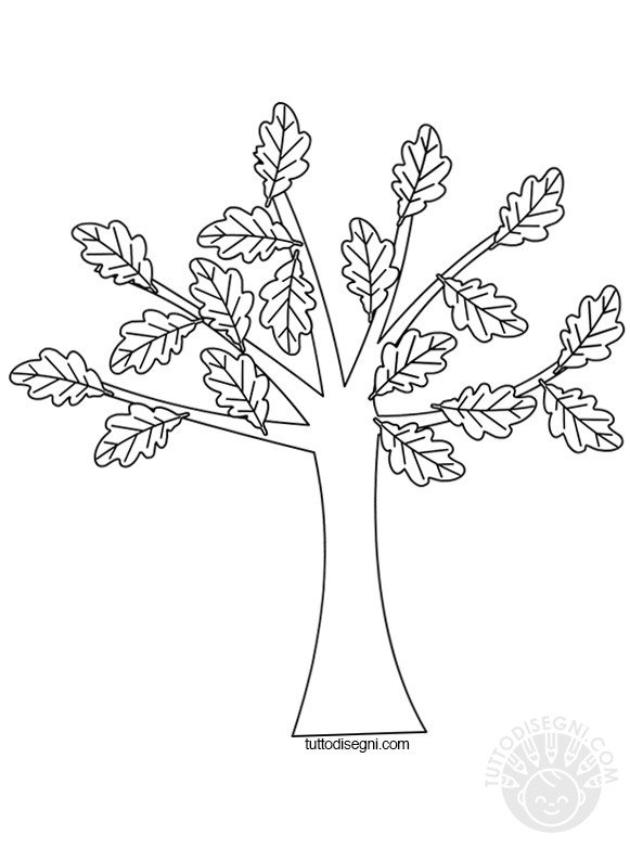 Albero con foglie secche