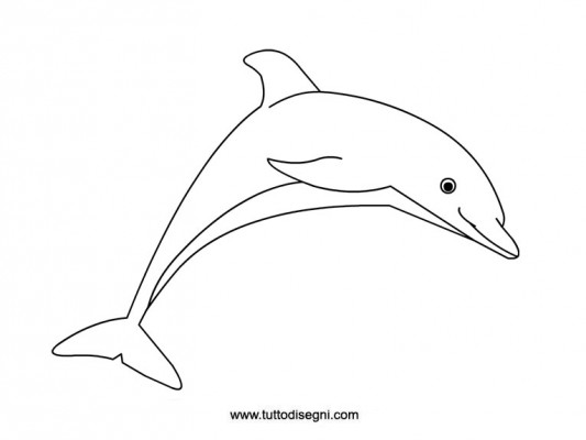 delfino da colorare