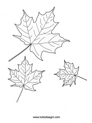 foglie-autunnali-da-colorare-300x400