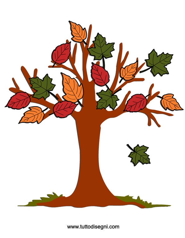 albero-autunno-colorato