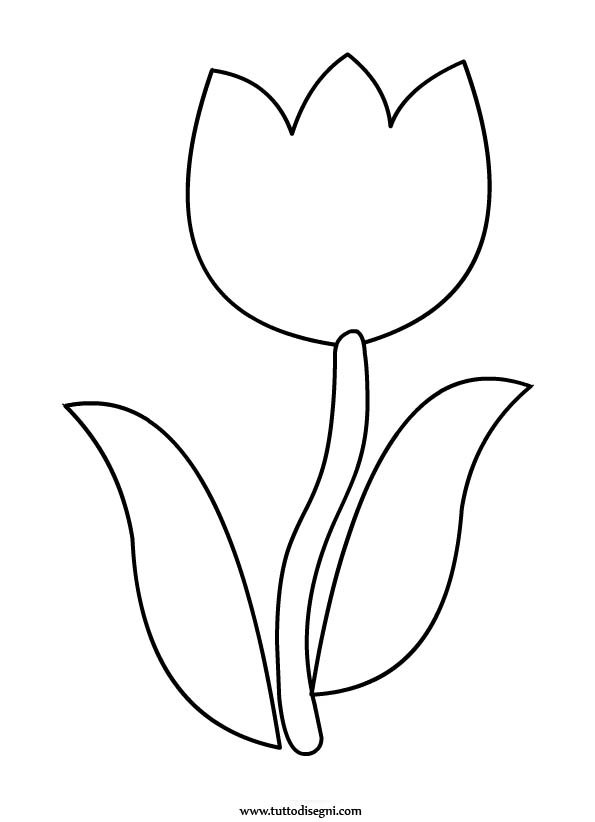 tulipano-da-colorare