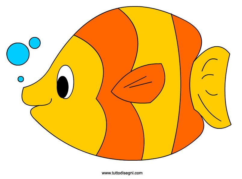 pesce-colorato
