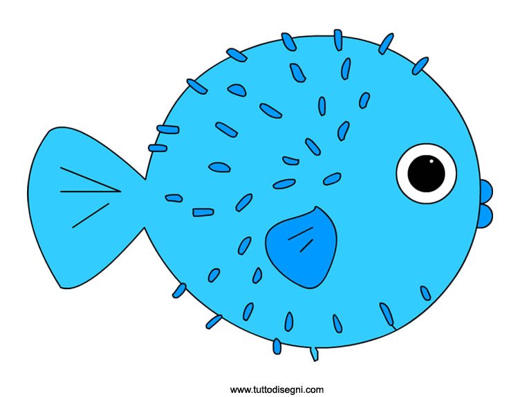 pesce-palla2