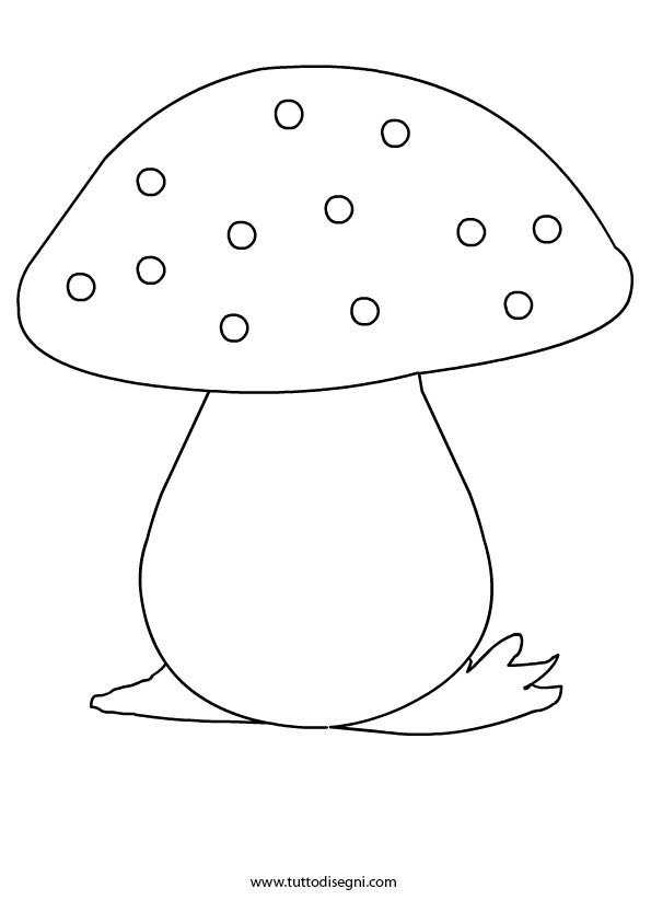 fungo-disegno