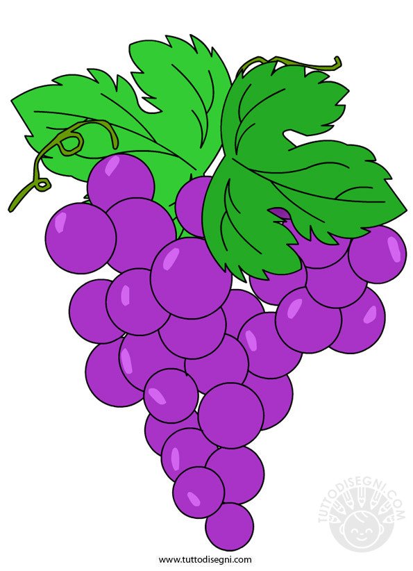 grappolo-uva