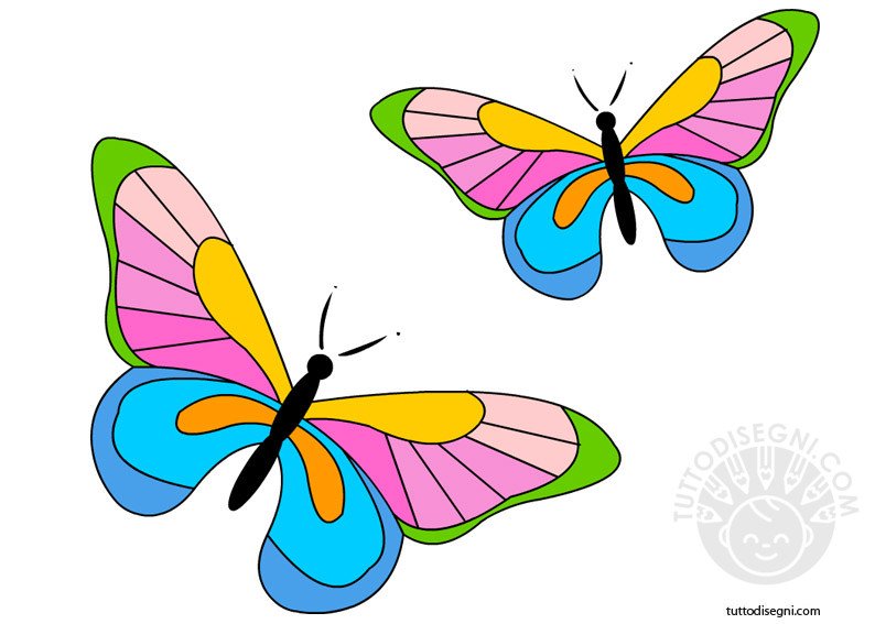 farfalle-colorate