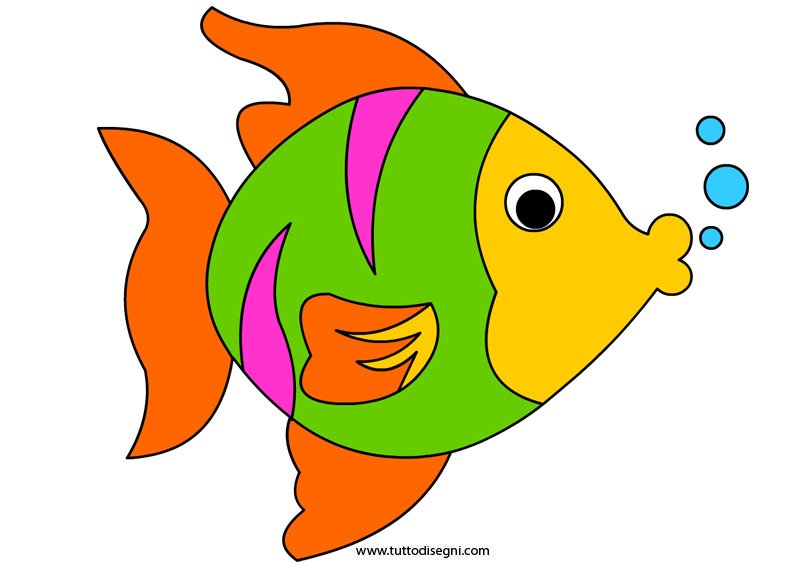 pesce-colorato