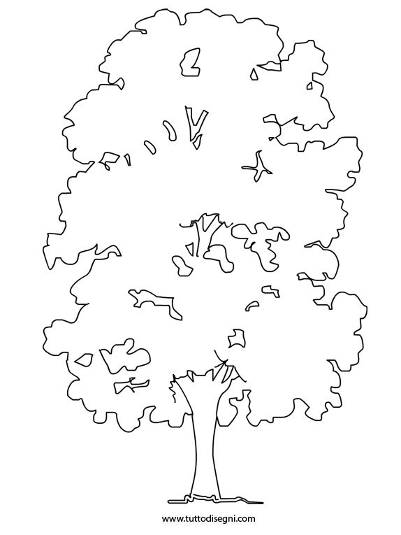 albero-castagno