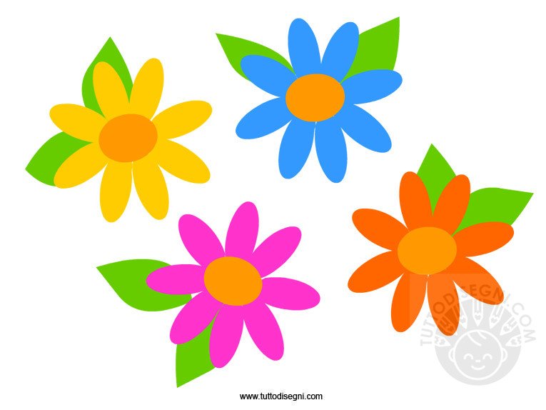fiori-colorati