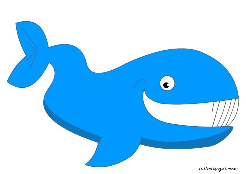 balena-sorridente