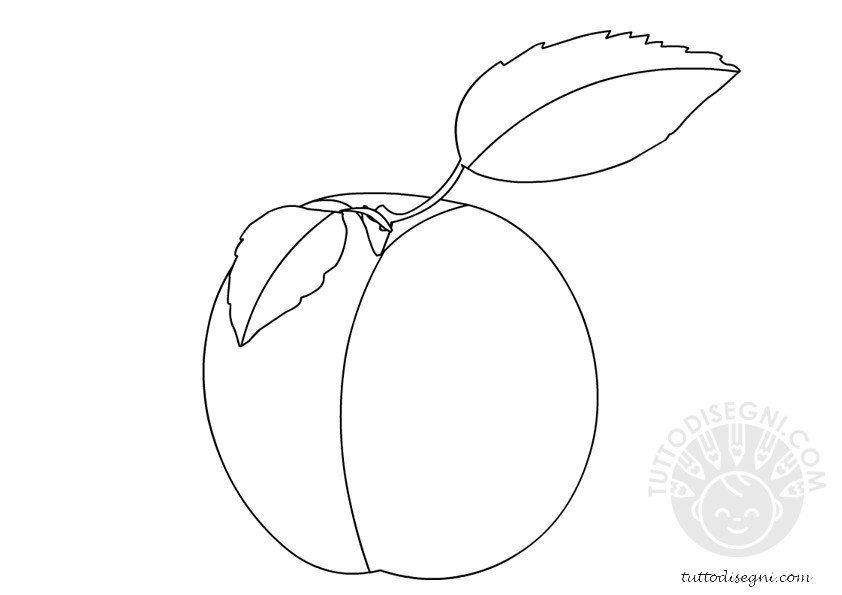 frutta-albicocca