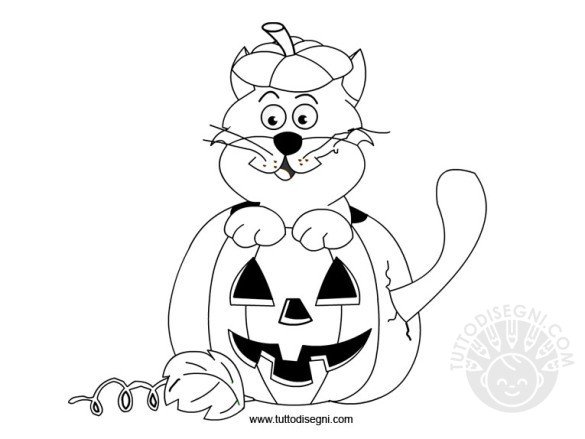 gatto-matto-halloween2