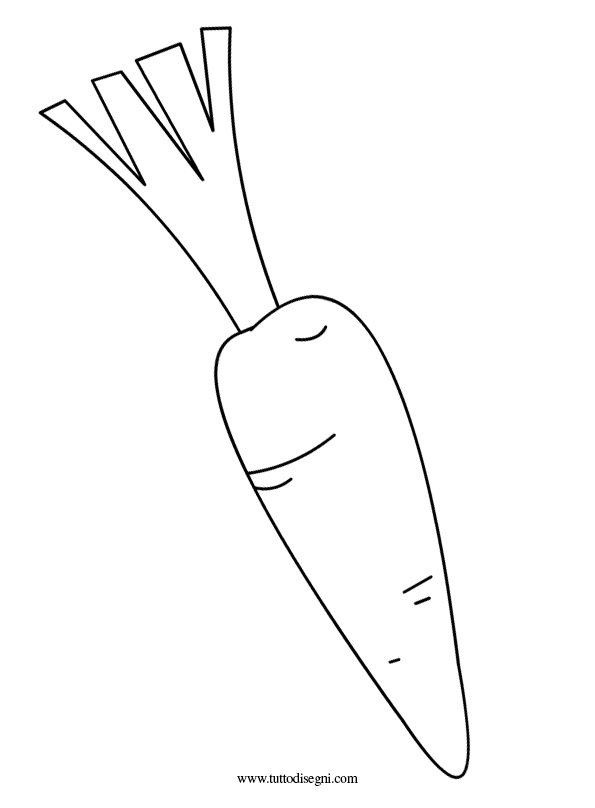 carota-disegno