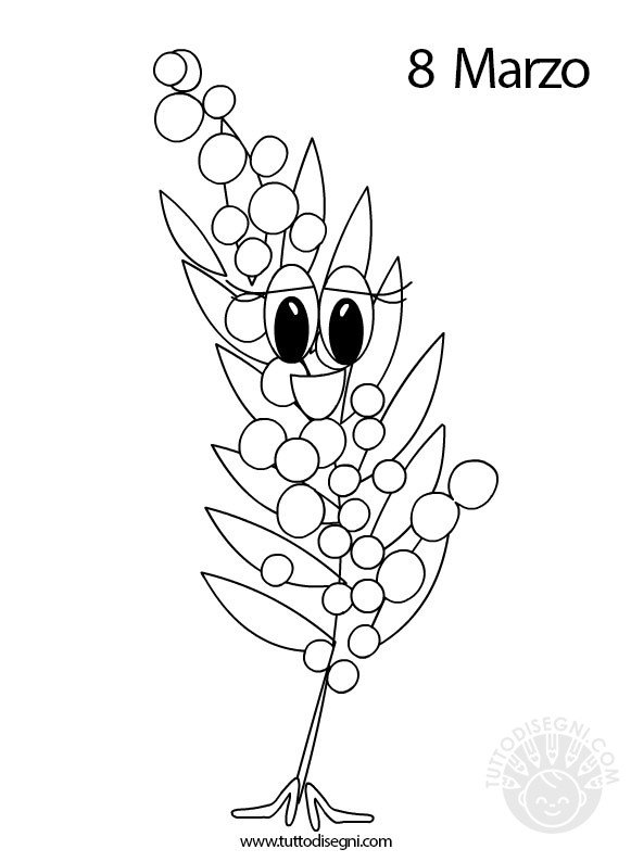 disegno-mimosa