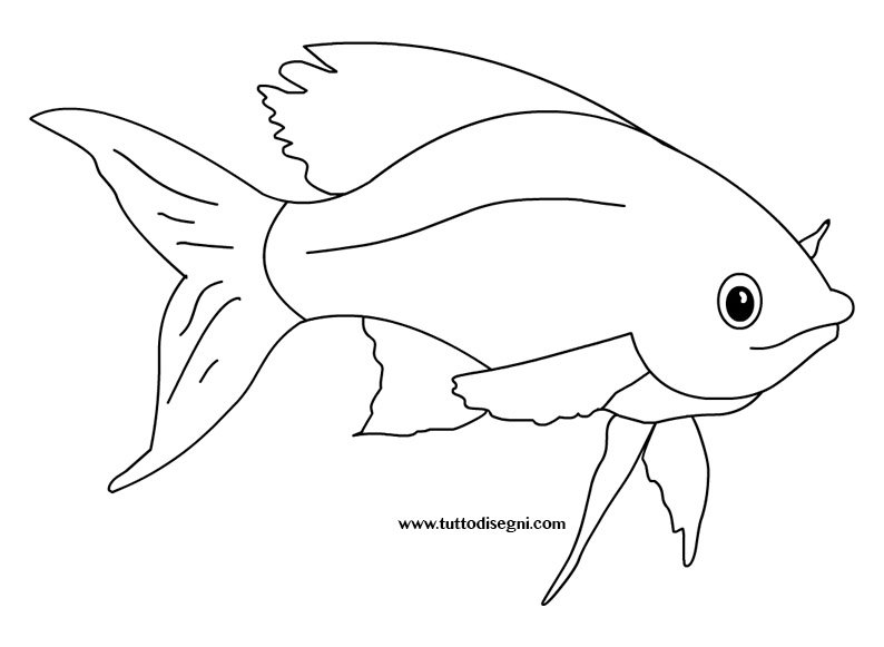pesce-tropicale-disegno