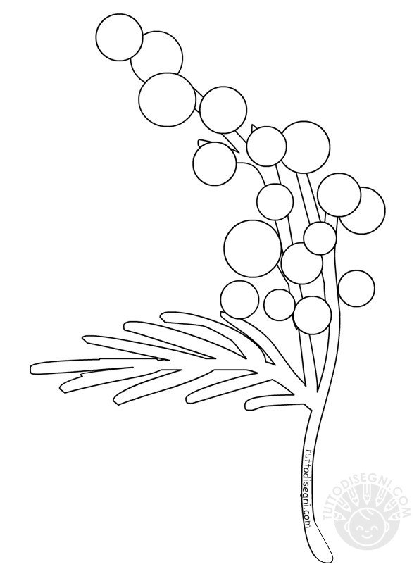 disegni mimosa