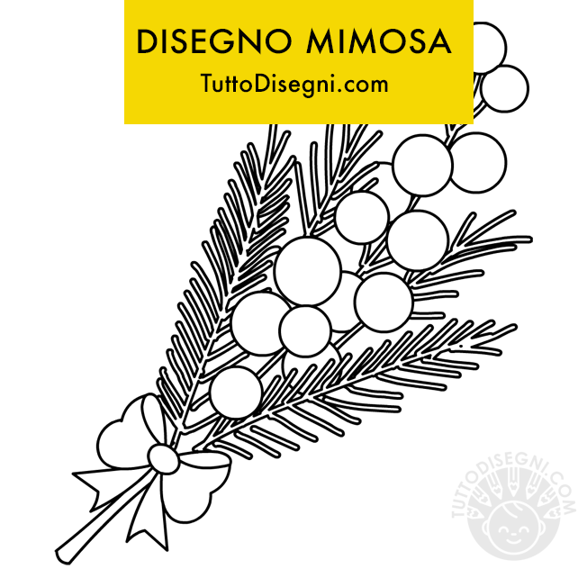 disegno di mimosa